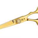 6" Kids Hair Cutting Scissors Shears Safety Rounded Tips Kids Haircut Scissors for Children Baby Toddler Girls Boys Japanese Stainless Steel Gold Gift Dragon Creek