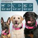 Dog Collar and Leash Set, 6-8 FT Bungee Dog Leash, Heavy Duty 2 in Wide Collar for Large Dogs, with A Dog Poop Bag Holder for Leashes (M: Width 1.7", Length 15.5"-18.5")