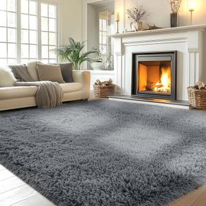 Fluffy Area Rug Living Room: Grey Shag Rug 6x9 Plush Rugs for Living Room - Large Fuzzy Soft Carpet (Gray 6x9 Feet)