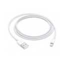 Apple Lightning to USB Cable (1 m)