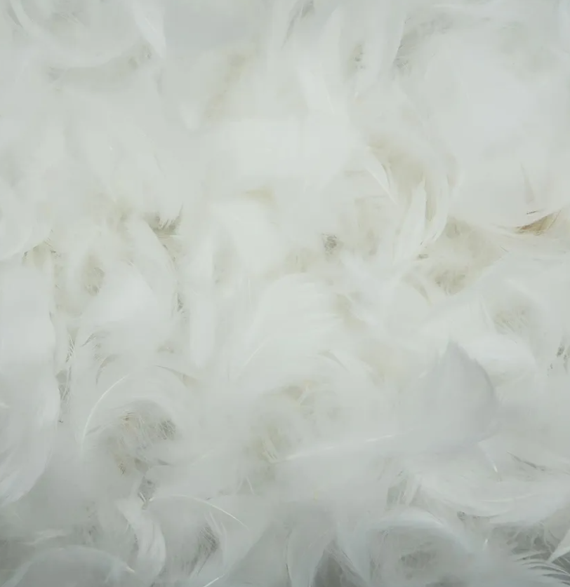 Pack of 4 200 Pieces White Feathers, Small Natural Craft Feathers Bulk Assorted Color 5-8cm Goose Feathers for Gift Filling, Cat Toy Making, Wedding Party Clothing Decorations, Home DIY Crafts Supplies