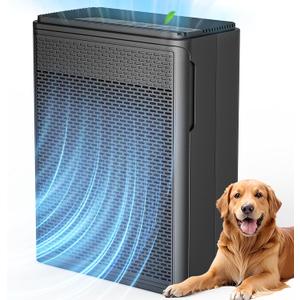 Air Purifiers for Home Pets Covers Up to 1500 Sq Ft,H13 Hepa Filter with Washable Pre-Filter,Pet Hair Dander Smoke Air Cleaner,22 dB Quiet Sleep for Living Room Bedroom Kitchen,P280 (Black)