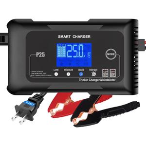 Battery Charger 0-25A,12V/24V LiFePO4 Battery Charger for Lithium,Lead Acid,AGM,RV,Marine,Boat, and Deep Cycle Batteries,9 Stage with Pulse Repair,Smart Car Trickle Charger & Maintainer