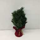 National Tree Company Pre-lit Artificial Mini Christmas Tree | Includes Small Lights and Cloth Bag Base | Majestic Fir - 2 ft