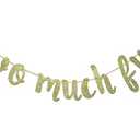 Two Much Fun Banner, 2nd Birthday Garland Sign Party Decorations Anniversary Decor Photo Booth Props Gold