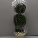 Real Preserved Boxwood Evergreen Potted Tree Globe Tree Topiary in Terracotta Planter, Home Decor Farmhouse (Double Balls Topiary, 20 inches)