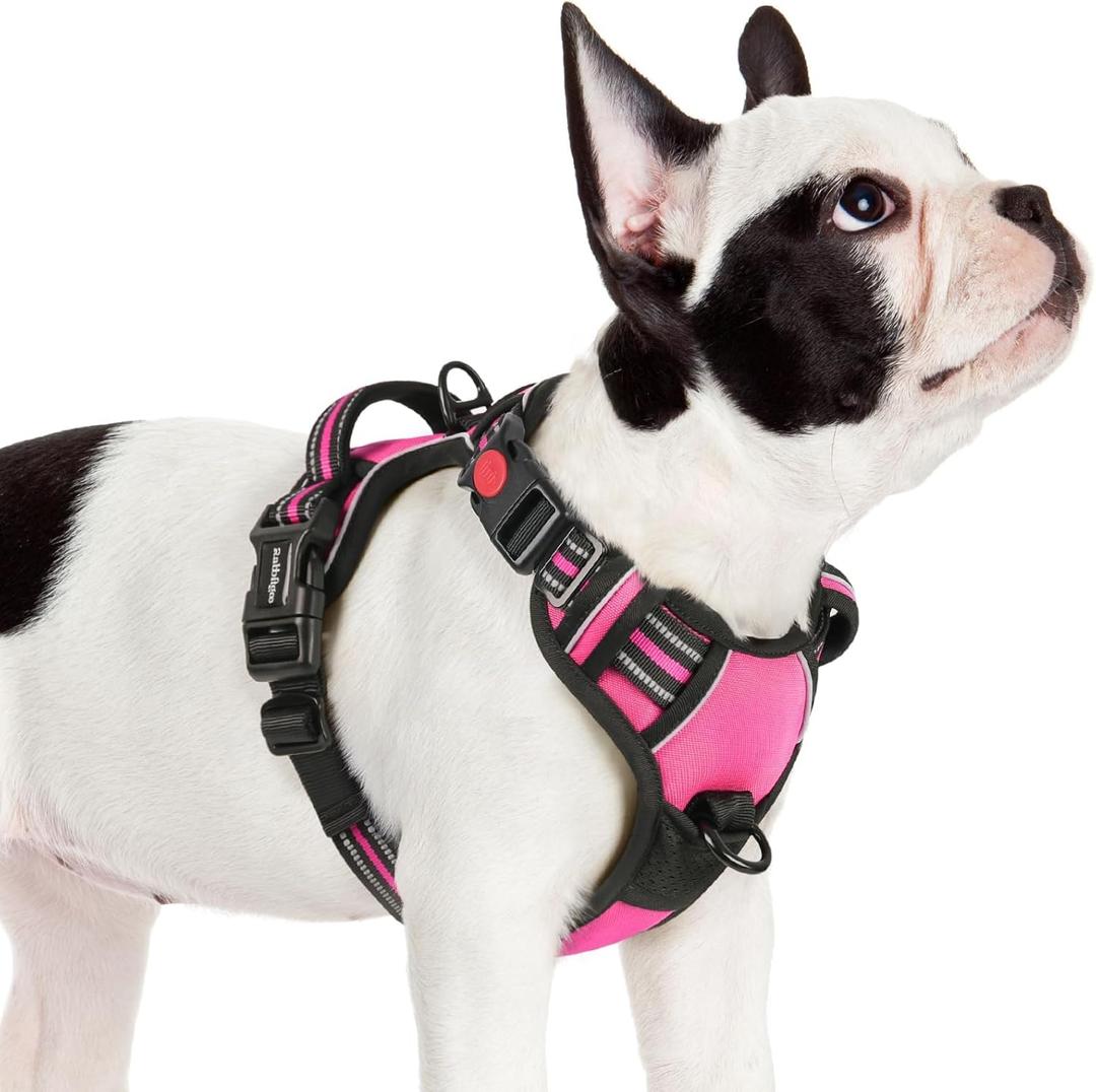 rabbitgoo Dog Harness Small Sized, No Pull Pet Harness with 3 Buckles, Adjustable Soft Padded Vest with Control Handle, Walking Reflective Pet Vest for Small Dogs, Rose Pink, S