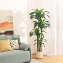 Artificial Dracaena Tree 6ft, Tall Fake Dracaena Plants with White Planter, Faux Dragon Tree Indoor Floor Plant for Home Decor Office Living Room Porch Housewarming, 1Pcs