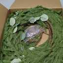 Waipfaru 9ft Christmas Norfolk Pine Garland，Realistic Christmas Decoration，Artificial Faux Cedar Garland for Table Fireplace Wall Home Decoration