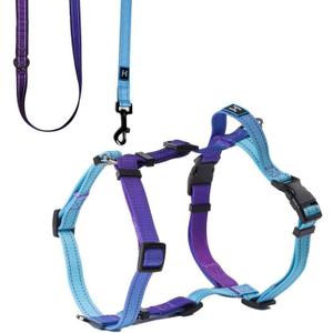 Roses&Poetry Dog Harness for Large Dogs, No-Pull Dog Harness and Leash Set Adjustable Reflective, Dog Vest Harnesses Comfort Padded Handle, Pet Harness for Training Outdoor WalkingGsky-L