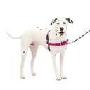 PetSafe Easy Walk No-Pull Dog Harness - The Ultimate Harness to Help Stop Pulling - Take Control & Teach Better Leash Manners - Helps Prevent Pets Pulling on Walks, Medium/Large, Raspberry/Gray