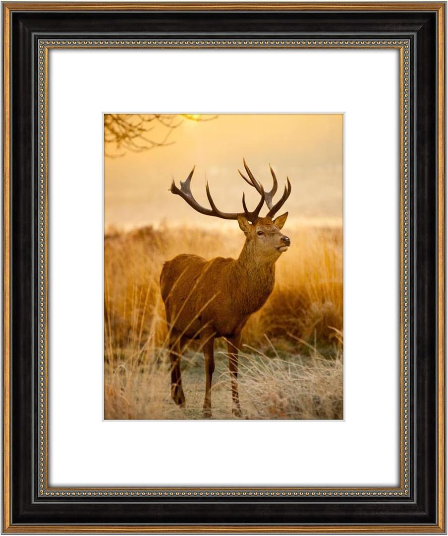 AUEAR,16x20 Picture Frame for 11x14 Photo With Mat or 16x20 Prints Without Mat,Vintage Style,Wall Mounting (Black and Ornate Gold)