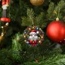 5 x Hamster Christmas Ornaments, Hamster Gifts for Men Women, Hamster Custom Shape Wooden Ornament, Cute Animal Gift for Hamster Lovers on Birthday Xmas Holiday, Hamster Ornaments for Tree Decor