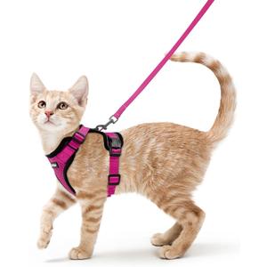 rabbitgoo Cat Harness and Leash for Walking, Escape Proof Soft Adjustable Vest Harnesses for Cats, Easy Control Breathable Reflective Strips Jacket, Rose Red, XS