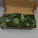 Mizii 2 Strands Artificial Vines Eucalyptus Garland 68" Fake Vine with Silk Leaves Green Garland Faux Hanging Plants Greenery Decoration for Bedroom Room Table Centerpieces Wedding Decor (Greenery)