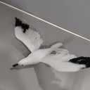 Artificial Flying Seagull Hanging Decorations Realistic Foam Bird Feathered Statue Ornament for Wedding Party Christmas Halloween Decor Props(S, 24x22CM)