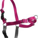 PetSafe Easy Walk Harness for Dogs - Pull-Free Walks - Patented Martingale Loop Design - Front Chest Leash Attachment - Comfort Straps - Breathable Harness Design - Large, Raspberry/Gray