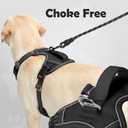 Funfox Dog Harness Medium Sized Dog, Vertical Handle Easy Control, No Pull Pet Vest Adjustable with 2 Leash Clips, Soft Material, Reflective Safe Night Walking, Black, M