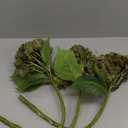 5 Pcs Silk Green Hydrangea Artificial Flowers - 20'' Faux Hydrangeas for Spring Indoor/Outdoor Home Decor & Wedding Arrangement