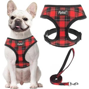 PUPTECK Soft Mesh Dog Harness and Leash Set Pet Puppy Cat Comfort Padded Vest No Pull Harnesses, Red&Black, L (L (NECK: 17", CHEST: 18.8"-24"))