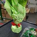 Realspring 2 ft Whimsical Tabletop Christmas Tree Small Bendable Artificial Lime Green Christmas Tree Decor with 21 Balls & Light & Hanging Ornaments Elf Xmas Holiday Decor for Home Office Fireplace