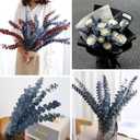 26Pcs Real Dried Eucalyptus Stems, 17" Blue-Green Preserved Eucalyptus Stems for Vase, Home Decor, Farmhouse, Dried Flowers Table Centerpiece Arrangement