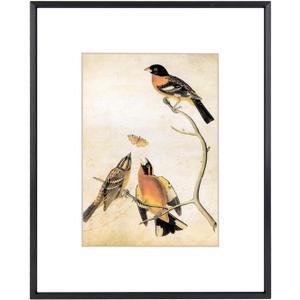 8x10 Picture Frame, Black Aluminum Metal Photo Frames with HD Glass, Fits 5x7 with Mat or 8 x 10 without Mat, Display for Wall and Table