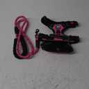 PoyPet Dog Harness and Leash Combo, Escape Proof No Pull Vest Harness, with 5 Feet Leash, Reflective Adjustable Soft Padded Pet Harness with Handle for Small to Large Dogs(Pink,M)