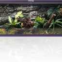 Phailozoo Stackable Reptile Enclosure, 85 Gallon Reptile Tank for Bearded Dragon, Snake, Ball Python, Colorful Aluminum Frame & Front Opening Tempered Glass Door with Handles for Easy Maintenance