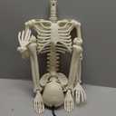 JIALWEN 36" Halloween Posable Skeleton Decorations, 3FT Realistic Plastic Human Full Body Bones with Movable Joints Skeleton for Haunted House Graveyard Props Indoor Outdoor Halloween Party Supplies