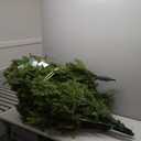 Glitzhome 9ft Prelit Christmas Tree, Cascade Evergreen Slim Fir Artificial Christmas Tree with 500 Strawberry Lights,1468 PE&PVC Branch Tips, 9 Functional Warm White/Multi-Color, Remote Controller 