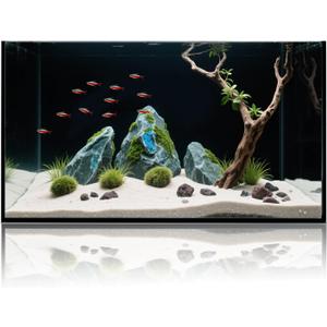 10 Gallon Glass Fish Tank, Aquarium Fish Bowl Cube for Betta Goldfish Snails Shrimp Aquatic Planting, Easy to Maintain Ultra Clear Rimless Dark Background Low Iron