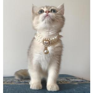 6 x Dog Costume,Handmade Girl Pearl Dog Necklace with Adjustable Clasp,Cute Small Collars for Birthday,Personalized Cat Costumes for Wedding Holiday Outgoing
