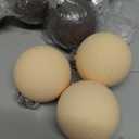 Hollowfly 21 Pcs Neutral Matte Christmas Ball Ornaments 2.4 Inch Rustic Boho Cream Beige Tan Brown Xmas Bulbs Ornament Vintage Xmas Baubles Modern Christmas Decor for Tree Farmhouse Decor