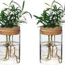 Separated Desktop Glass Flower Vases - Ideal Plants Propagation Stations for Living Room, Bedroom Decoration,Home Decor (2)