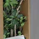 Artificial Brave Ficus Tree 7FT-Faux Tree with White Tall Planter-Fake Potted Tree with Silk Leaves-Tall Artificial Plants for Home Office Living Room Hallway Decor Indoor