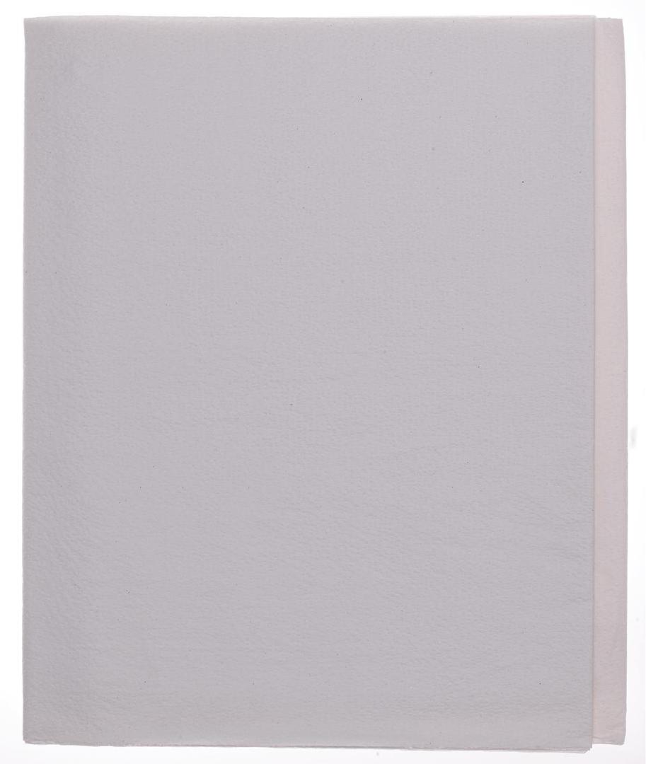 Medline Disposable Tissue/Poly Flat Bed Sheets, White, 60 Inches x 96 Inches, Help to Guard Against Stains and Spills, Aid in Infection Control, Case of 25 Each