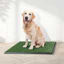 Artificial Grass Puppy Pee Pad for Dogs and Small Pets - 20x30 Inch, Reusable 4-Layer Turf Pads for Dogs with Tray - Indoor and Outdoor Fake Grass Potty Pet Supplies by PETMAKER