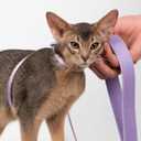 Cat Harness and Leash 2-in-1, Escape Proof Anti-Chocking Harness Adjustable Lighweight Leash for Walking Outoor Training for Kitten Small Large Cats Puppy, US IDA Bronze Award (Linen)