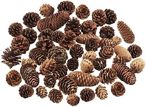 48PCS Rustic Pine Cone Decorations - Large, Medium and Mini Sizes for Table, Tree and Home Decor