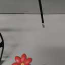 WTXRHW Metal Wall Art Metal Wall Decor Steel Decor - Wall Mount Plant Flower Pot Personalized 3D Metal Wall Decorative Vintage Hanging Art Style for Home Living Room Kitchen Bedroom (18.9" x 23.6")