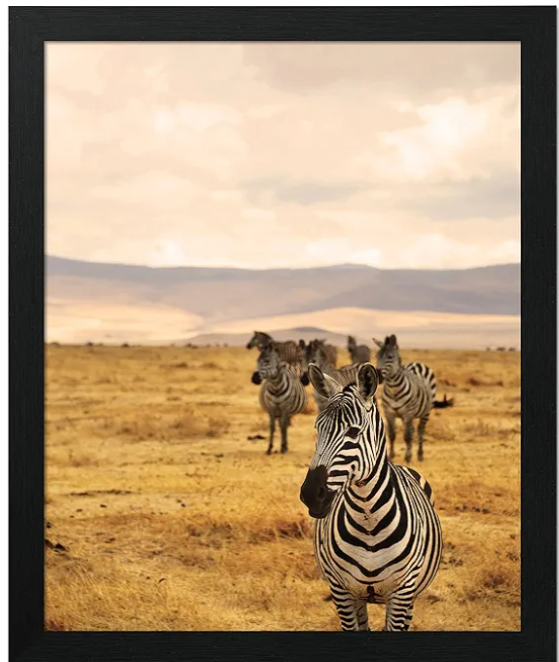 JD Art Gallery Poster Frame 18,5 x22,5 Black, Handcrafted with Sustainable Wood and Polished Plexiglass, Flexible Hanging in Horizontal or Vertical Format and Hanging Hardware Included