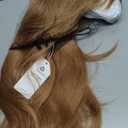 Esmee Long Straight Ombre Blonde hair Bangs Layered wig for Women Breathable Comfortable Natural Realistic Women Party Wigs Use-24 Inches (Strawberry Blonde(6344-8))