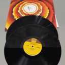 Songs in the Key of Life, Vinyl 