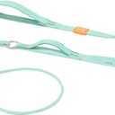 Howgo Dog Slip Lead Dog Leash, Training Lead, No-Pull Slip Leash and Collar, Heavy Duty & Durable Nylon, Padded Handle, for All Breeds (MintGreen, 5FT)