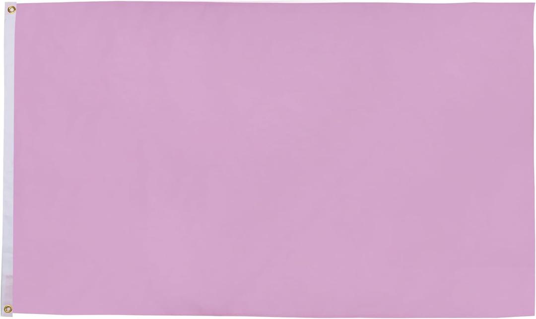 AZ FLAG - Plain Pink Flag - 2x3 Ft - 100D Polyester Pink Solid Color Banner with Two Metal Grommets - Fade Resistant - Vivid Colors - 2' x 3' Feet - 90x60 Cm