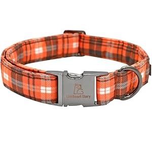 Lionheart glory Premium Fall Dog Collars Thanksgiving Holiday Collar Dog Heavy Durable Comfortable Adjustable Dog Collar for Large Collar Dogs Boys Dog Collar Cute Collars Pet Gift (Large (Pack of 1)