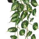 Artificial Pothos Ivy Plant with Pot Artificial Light Green Leaves Featuring for Home Shelf Decor Indoor Silk Artificial Plant Large