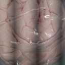 SunStyle Home Pink Quilt Queen Size, Lightweight Comforter Bedspread Full Queen Quilt Bedding Set, Soft Reversible Coverlet for All Season 3pcs Leaf Embroidered Durable Quilted Stitching Bed Set Blush