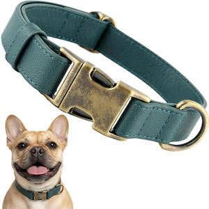 Leather Dog Collar Silicone Soft Flexible Waterproof Odor-Proof Durable Thick Classic Adjustable Pet Puppy Collar Dog Collars for Small Dogs(Green, Small (11-15.5" Neck))